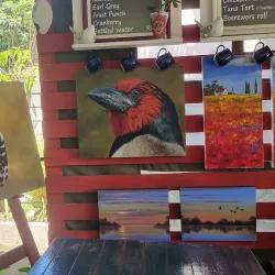 Richards Bay Art Gallery - Richards Bay