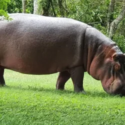 Richards Bay Golf Club - Richards Bay