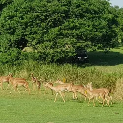 Richards Bay Golf Club - Richards Bay