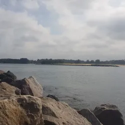 Richards Bay Harbour - Richards Bay