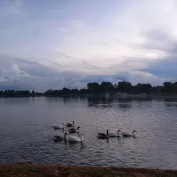 Florida Lake - Roodepoort