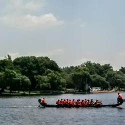 Florida Lake - Roodepoort