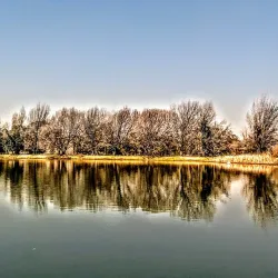 Florida Lake - Roodepoort