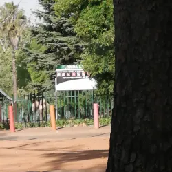 Florida Lake - Roodepoort