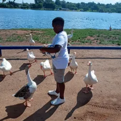 Florida Lake - Roodepoort