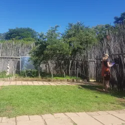 Honeydew Mazes and Fun Farm - Roodepoort