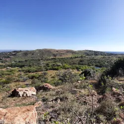 Kloofendal Nature Reserve - Roodepoort