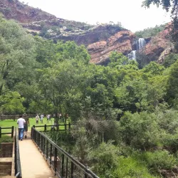 Walter Sisulu National Botanical Garden - Roodepoort