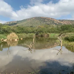Walter Sisulu National Botanical Garden - Roodepoort