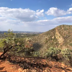 Walter Sisulu National Botanical Garden - Roodepoort