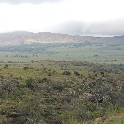 Kgaswane Mountain Reserve - Rustenburg