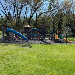 Delta Park - Sandton