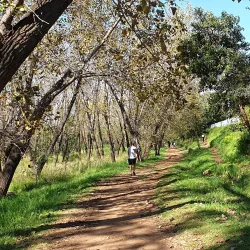 Delta Park - Sandton