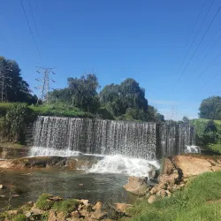 Delta Park - Sandton
