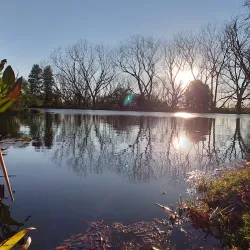 Delta Park - Sandton