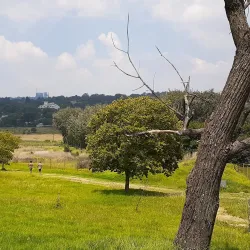 Delta Park - Sandton