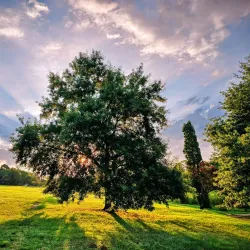 Delta Park - Sandton