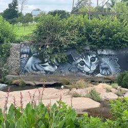 Delta Park - Sandton