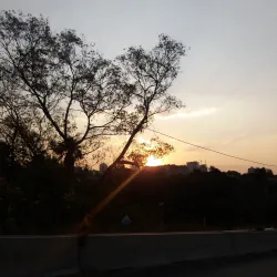 Innesfree Park - Sandton