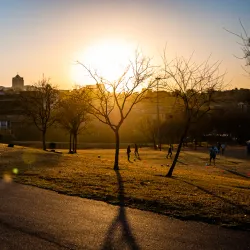 Innesfree Park - Sandton