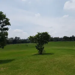 Innesfree Park - Sandton