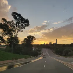 Innesfree Park - Sandton