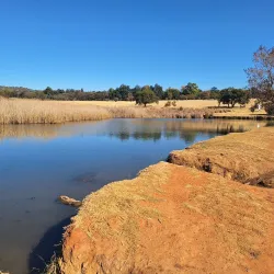 Johannesburg Botanical Gardens - Sandton