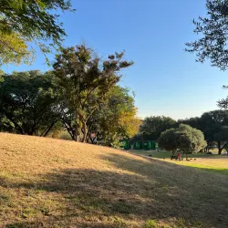 Sandton Central Park - Sandton