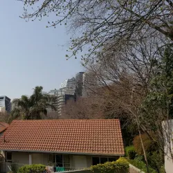 Sandton Central Park - Sandton