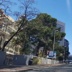 Sandton Central Park - Sandton