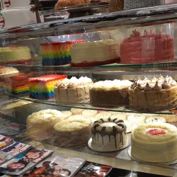 Sandton City Mall - Sandton