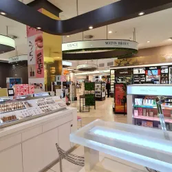 Sandton City Mall - Sandton