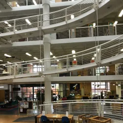 Sandton Library - Sandton