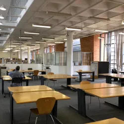 Sandton Library - Sandton