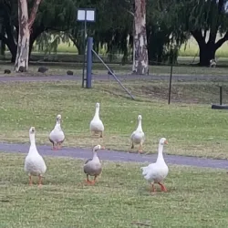 Riverside Park - Sasolburg