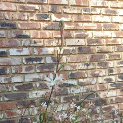 Sasolburg Historical Walk - Sasolburg