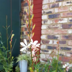 Sasolburg Historical Walk - Sasolburg