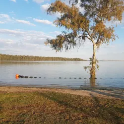 Vaal Dam Nature Reserve - Sasolburg