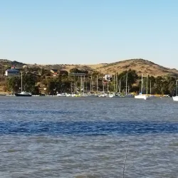 Vaal Dam Nature Reserve - Sasolburg