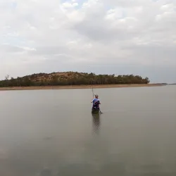 Vaal Dam Nature Reserve - Sasolburg