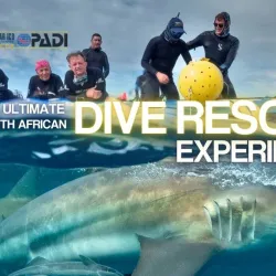 Aliwal Shoal Marine Protected Area - Scottburgh