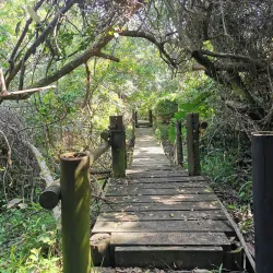 Mpenjati Nature Reserve - Scottburgh