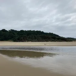 Mpenjati Nature Reserve - Scottburgh