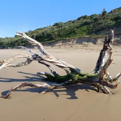 Mpenjati Nature Reserve - Scottburgh