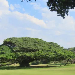 Scottburgh Golf Club - Scottburgh
