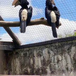 Scottburgh Museum - Scottburgh