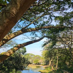 Scottburgh Museum - Scottburgh
