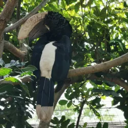 Scottburgh Museum - Scottburgh