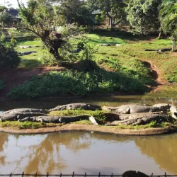 Umkomaas Crocodile Farm - Scottburgh