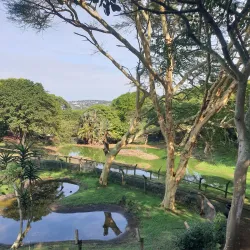 Umkomaas Crocodile Farm - Scottburgh